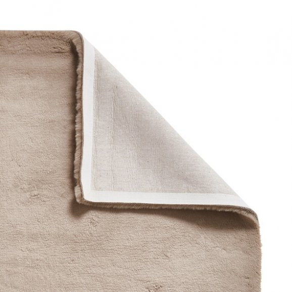 Teddy Mink - Healy Furniture & Carpets