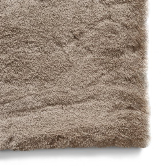 Teddy Mink - Healy Furniture & Carpets