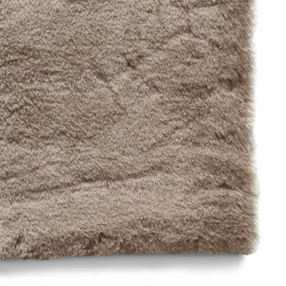 Teddy Mink - Healy Furniture & Carpets