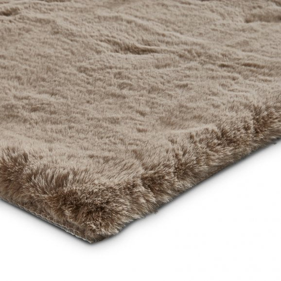 Teddy Mink - Healy Furniture & Carpets