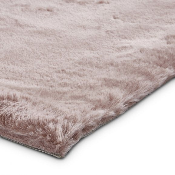 Teddy Rose - Healy Furniture & Carpets