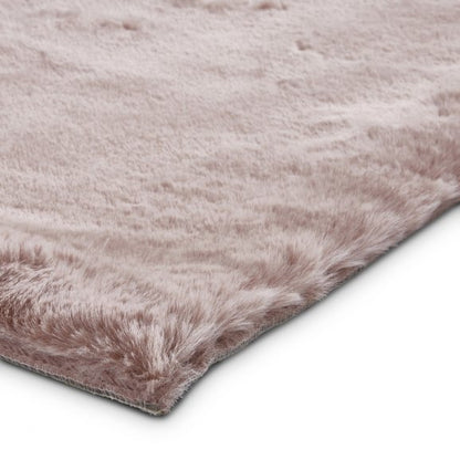 Teddy Rose - Healy Furniture & Carpets