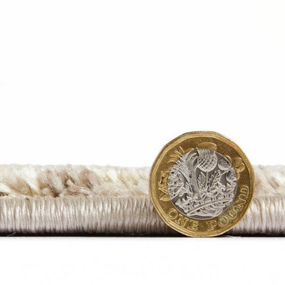 Florence 50031 Beige/Gold - Healy Furniture & Carpets